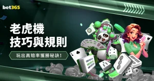 郑钦文印第,安韦尔斯,赛事八强止,世界杯买球,足球投注,世界杯投注攻略,在线买球,体育博彩,世界杯赛事,投注技巧,买球平台,世界杯赔率,安全买球
